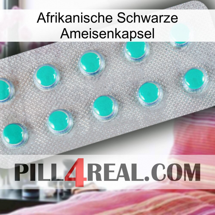 Africa Black Ant Capsule 28
